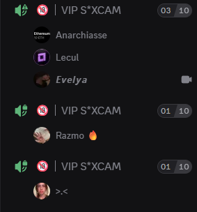 Salons vocaux Discord